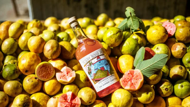 guava gin goa