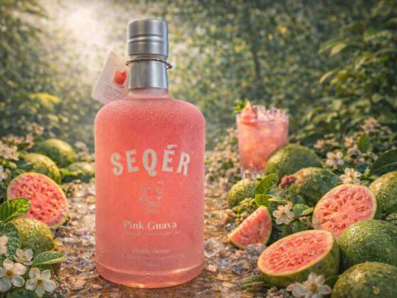 best gin in goa to try